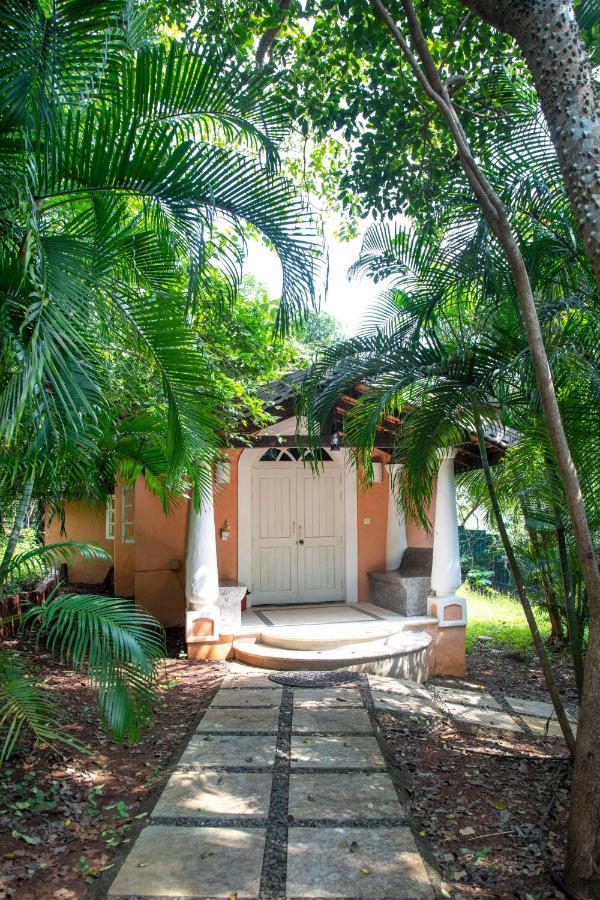 Wildflower Villas - All Villa Hotel, Family Run كاندولِم المظهر الخارجي الصورة
